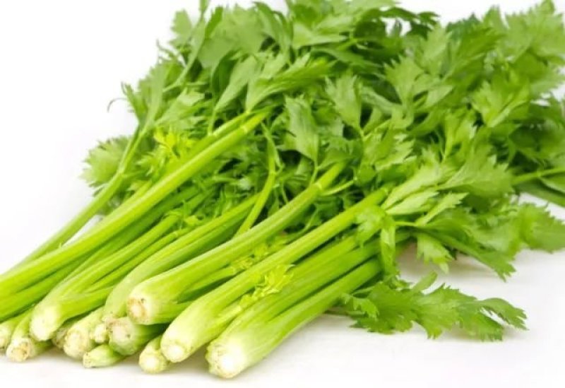 芹菜西芹80公分左右价格合理保质保量