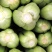 芹菜西芹80公分左右价格合理保质保量