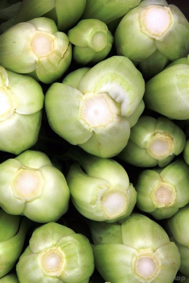 芹菜西芹80公分左右价格合理保质保量