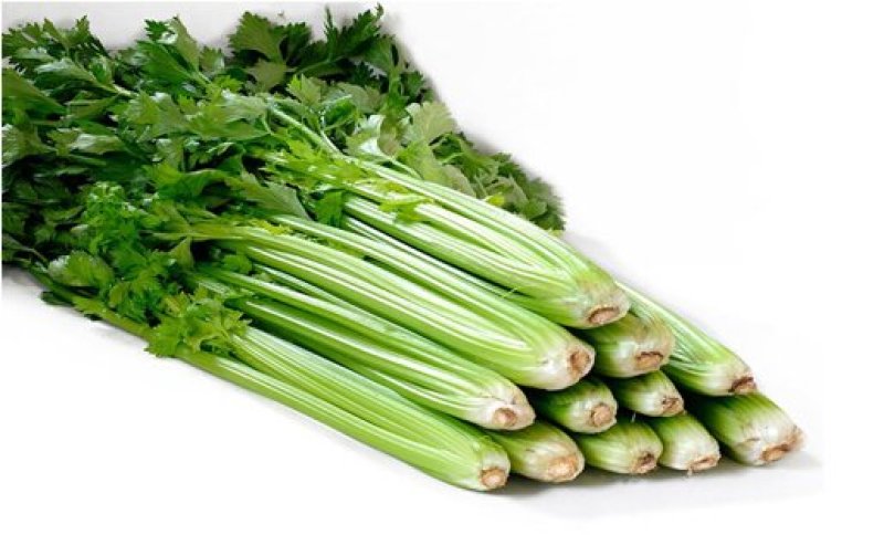 芹菜西芹80公分左右价格合理保质保量