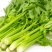 芹菜西芹80公分左右价格合理保质保量