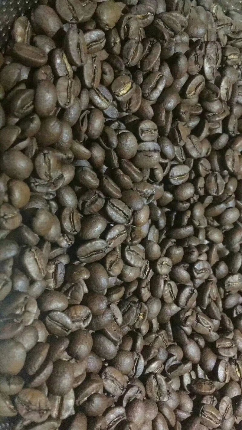 麝香猫咖啡豆