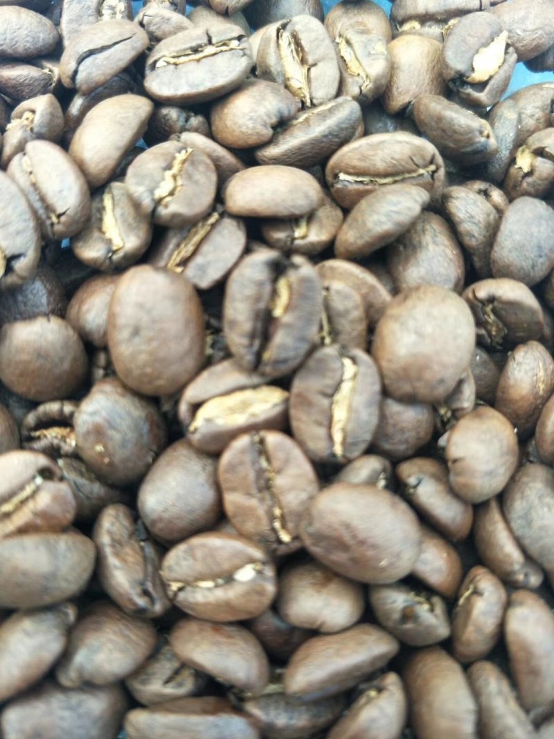 麝香猫咖啡豆