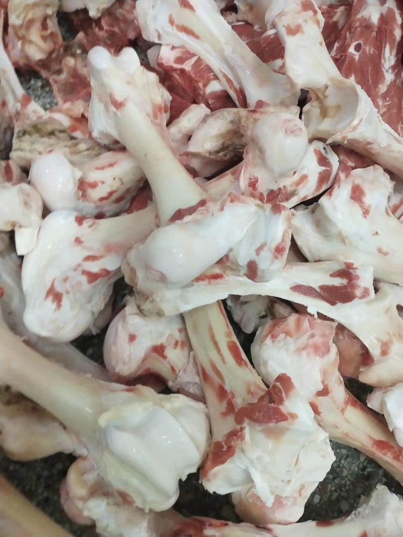 长期批发各种牛副产品牛棒骨，牛脊骨，，，，，，。。。
