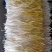 太仓本地黄金韭黄全国统一价