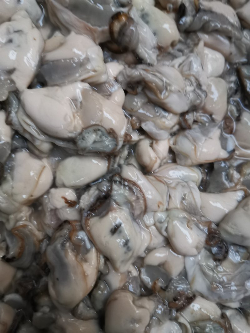 连云港批发新鲜原汁原浆生蚝肉牡蛎肉产地直发批发