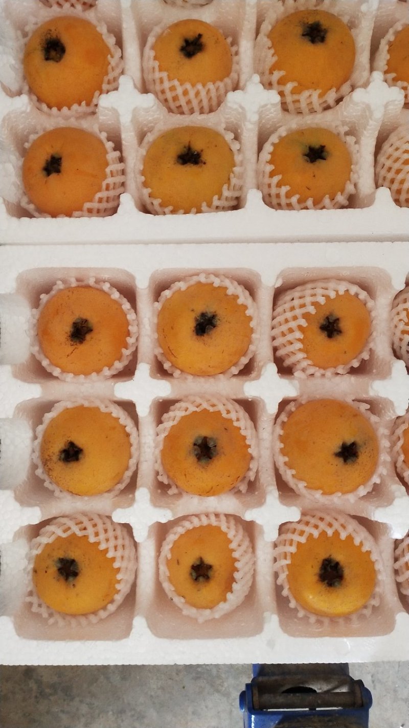 四川精品大五星枇杷超大果