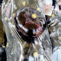 甘蓝类