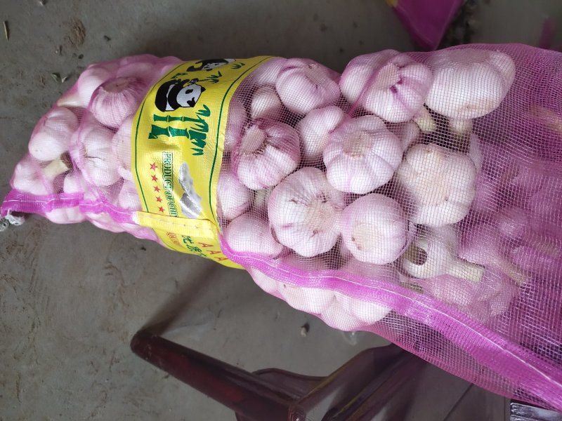 精品大蒜，扒皮蒜，苗蒜，大吨位供应，负责找车代发团队