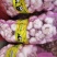 新鲜精品大蒜5公分以上，苗蒜，瓣蒜，量大质优