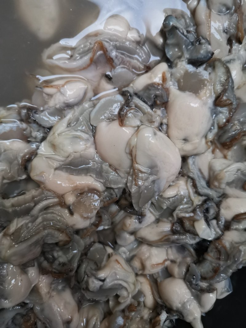连云港批发新鲜原汁原浆生蚝肉牡蛎肉产地直发批发