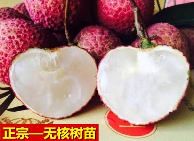 荔枝新鲜水果大果甘甜5斤荔枝冷冻妃子笑白糖罂桂味孕妇水