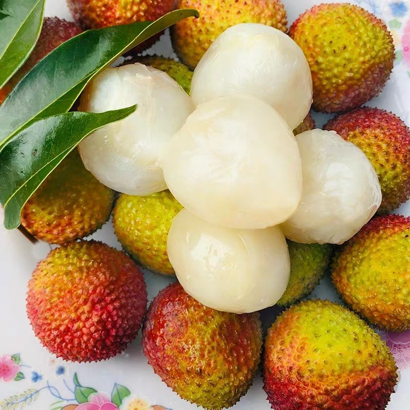 荔枝新鲜水果大果甘甜5斤荔枝冷冻妃子笑白糖罂桂味孕妇水