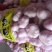 精品鲜大蒜，皮薄，5公分以上，过筛，扒皮蒜，诚信接单