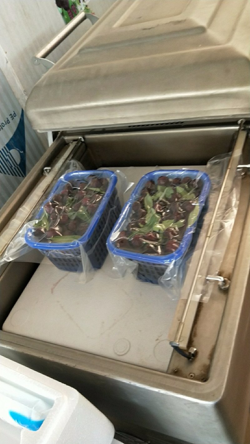 从包装到你家，新鲜出炉！