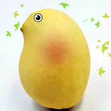 圣德龙芒果