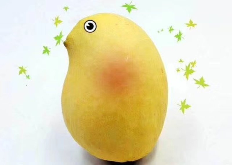 圣德龙芒果
