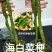 裙带菜梗海白菜梗凉拌海白菜梗海中珍品菜包邮