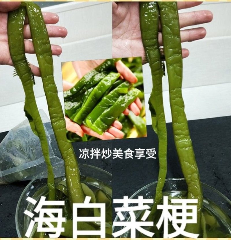裙带菜梗海白菜梗凉拌海白菜梗海中珍品菜包邮