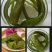 裙带菜梗海白菜梗凉拌海白菜梗海中珍品菜包邮