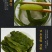 裙带菜梗海白菜梗凉拌海白菜梗海中珍品菜包邮