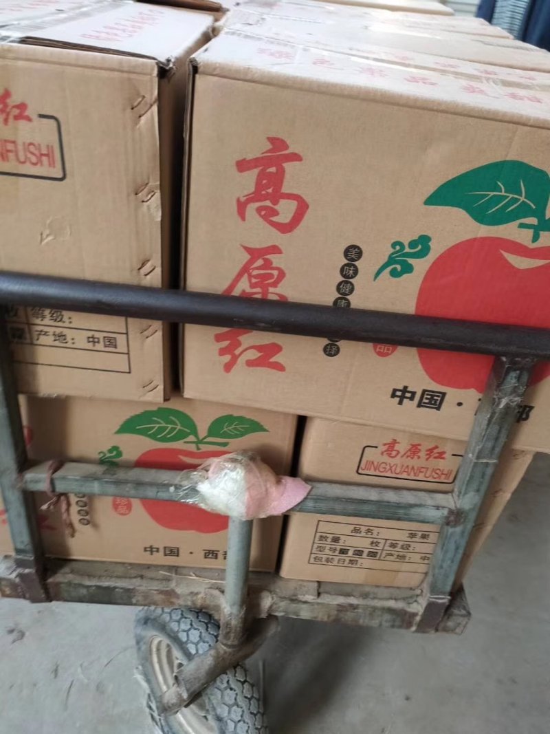 《优质精品红富士苹果》糖心富士，质量上乘火热预售中！
