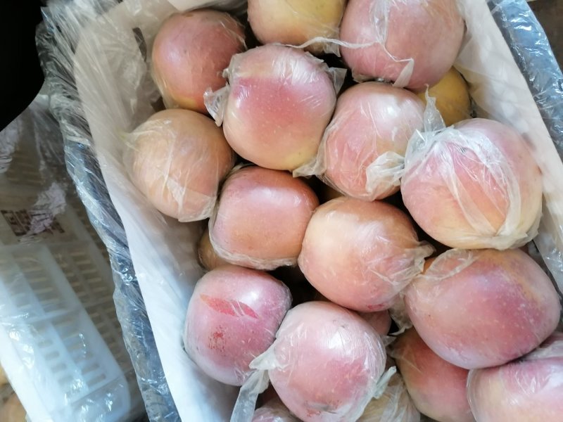 《优质精品红富士苹果》糖心富士，质量上乘火热预售中！