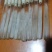 羊肚菌试管母种原种栽培种