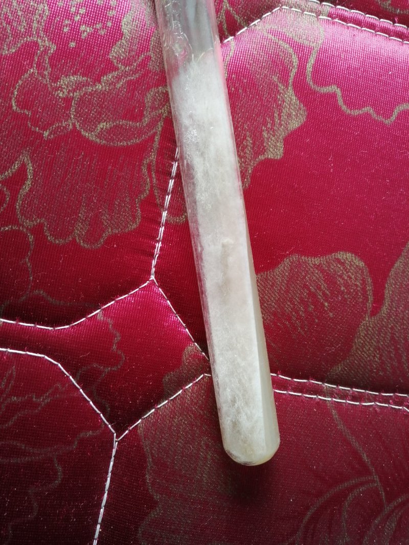 羊肚菌试管母种原种栽培种