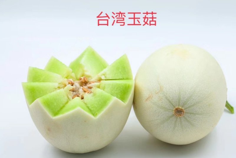 八里营甜瓜，大量上市中，欢迎全国各地新老客户前来收购。