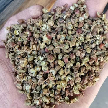 泡脚花椒专用