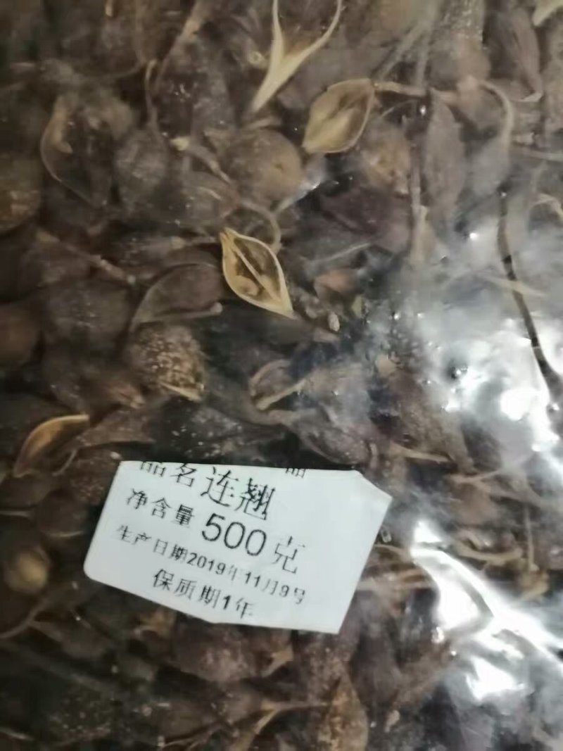 中药材精选连翘干无硫天然连壳青翘