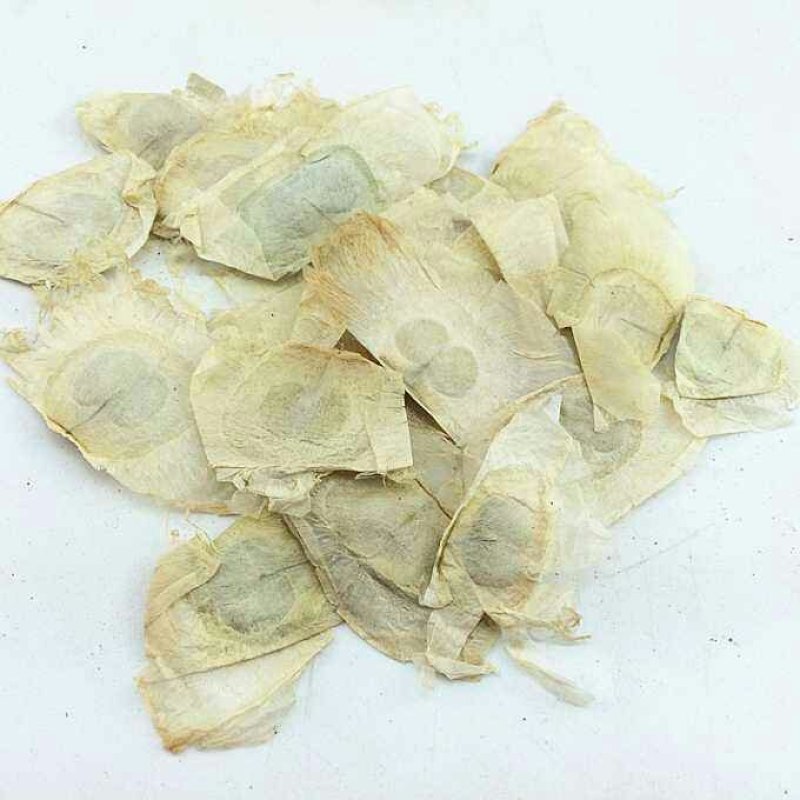 木蝴蝶中药材玉蝴蝶花草茶满天飞千层纸木蝴蝶
