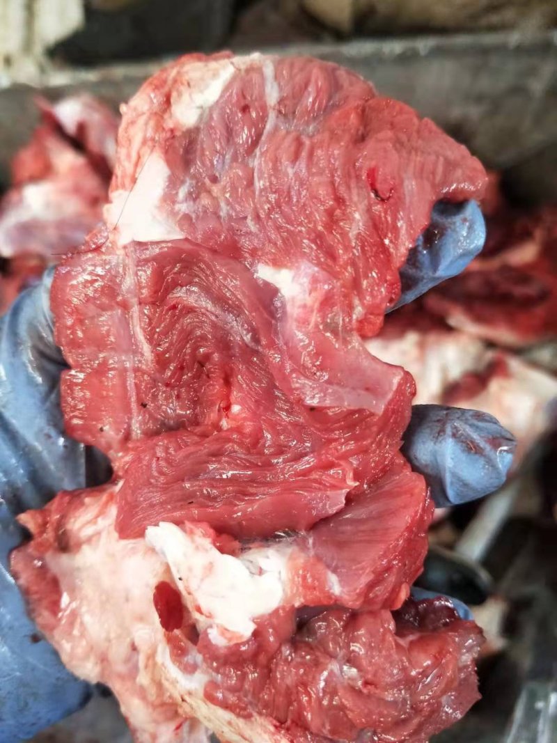 纯干牛肉赘，块整，牛后腿。。。。。。。。。