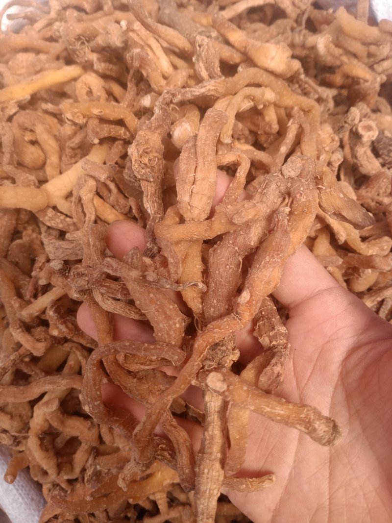 玉竹黄精片竹节黄精优选大黄精量大联系我