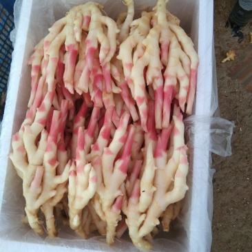 精品生姜质量好口感好