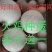 火鸡受精种蛋青铜贝蒂娜尼古拉火鸡种蛋混装发货包邮