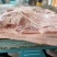 新鲜冷冻前后猪肉10斤装一件代发