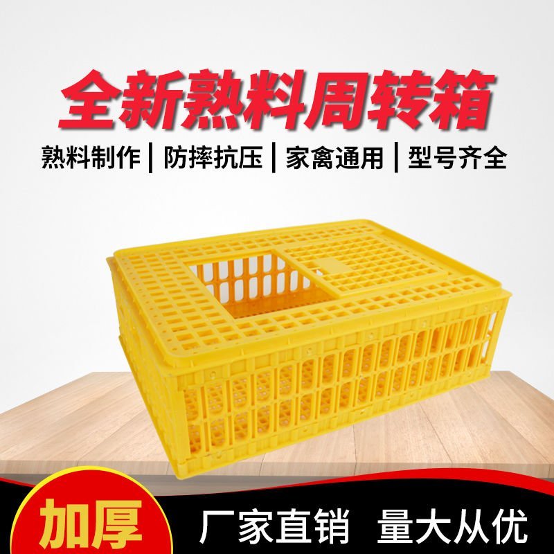 运输鸡笼加厚成鸡周转箱特大周筐鸭鹅鸽子笼家用鸡筐塑料