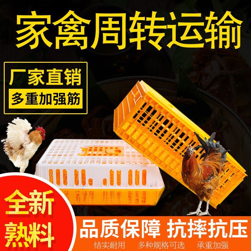 运输鸡笼加厚成鸡周转箱特大周筐鸭鹅鸽子笼家用鸡筐塑料