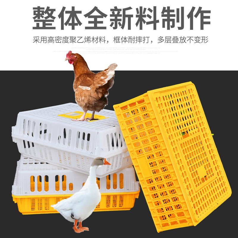 运输鸡笼加厚成鸡周转箱特大周筐鸭鹅鸽子笼家用鸡筐塑料