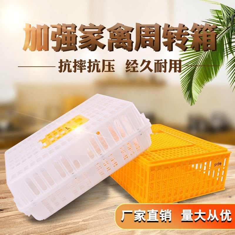 运输鸡笼加厚成鸡周转箱特大周筐鸭鹅鸽子笼家用鸡筐塑料