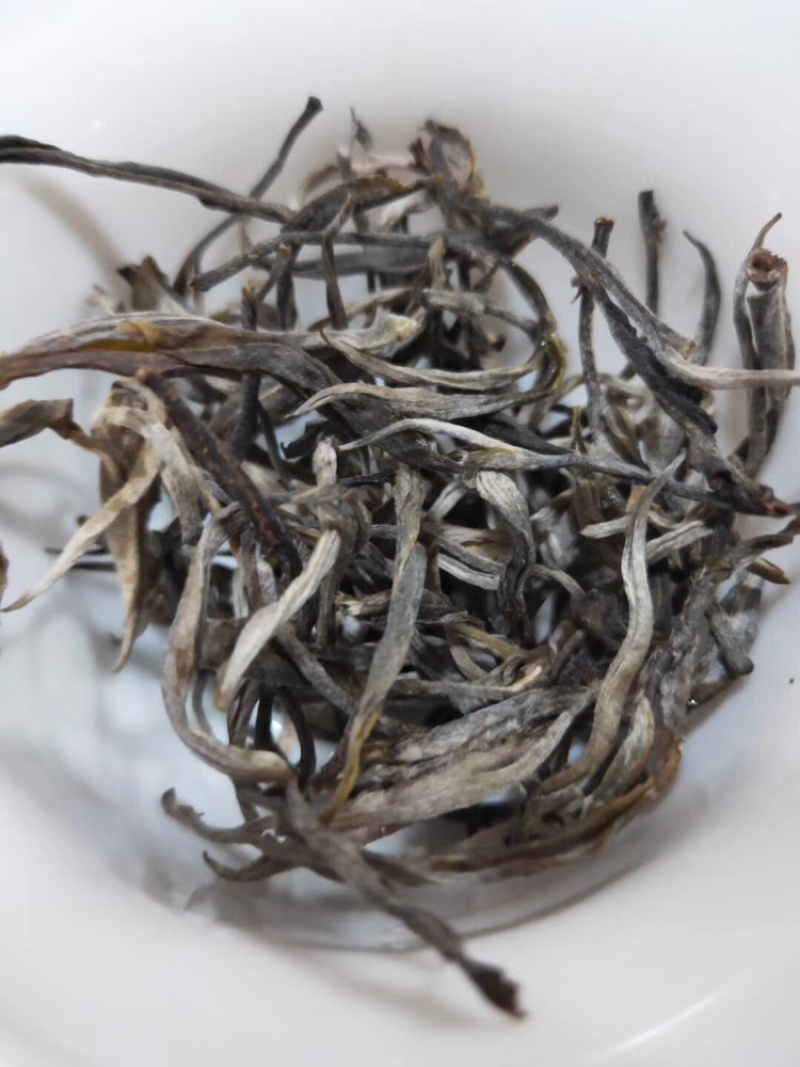 布朗山千年野生茶