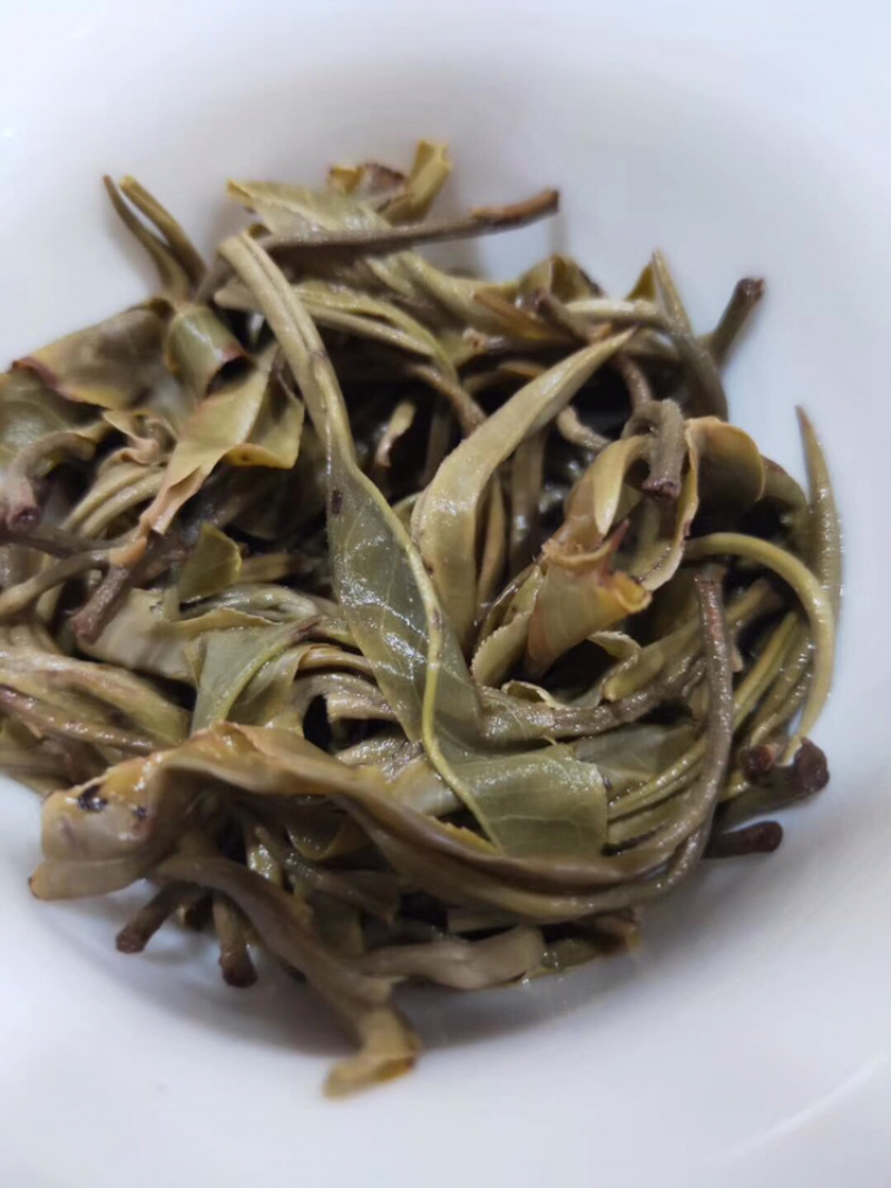 布朗山千年野生茶
