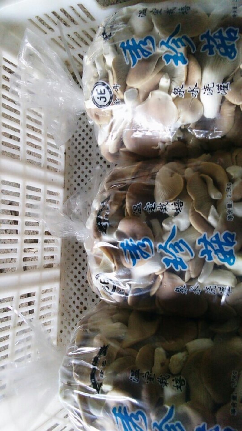大量供应秀珍菇，平菇