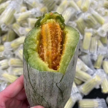 夏邑县恋农业种植专业合作社