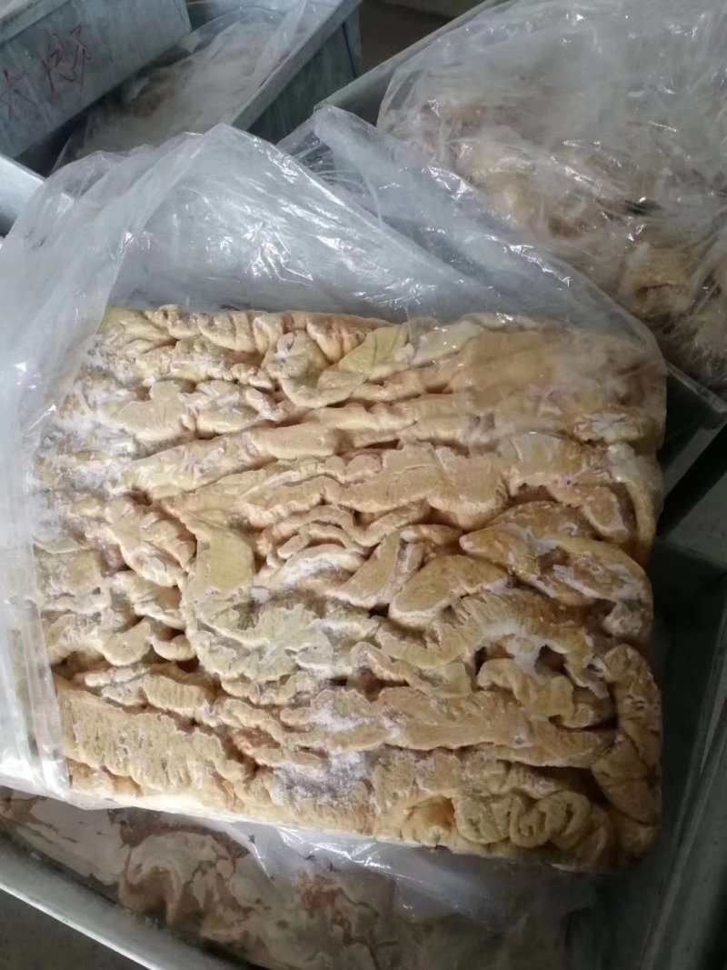 鲜大肠猪大肠猪肠头