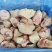 新鲜冷冻猪脚圈块肘子块干净无毛20斤按区域