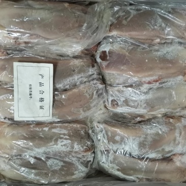 鲜冻猪口条猪舌小根猪舌小根舌头20斤选择所在