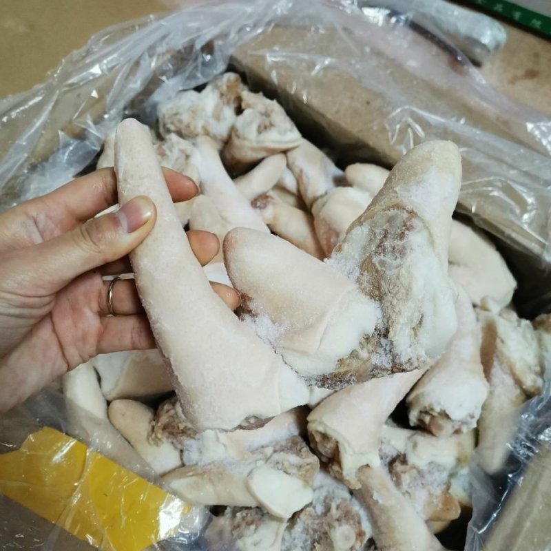 鲜冻猪尾标猪短尾猪尾巴箱装20斤按区域下单